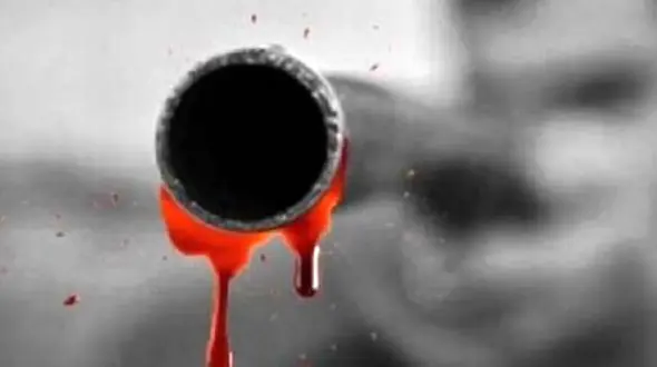 قتل  ۲ کارگر با اسلحه شکاری کارفرما / پلیس سیرجان قاتل را دستگیر کرد