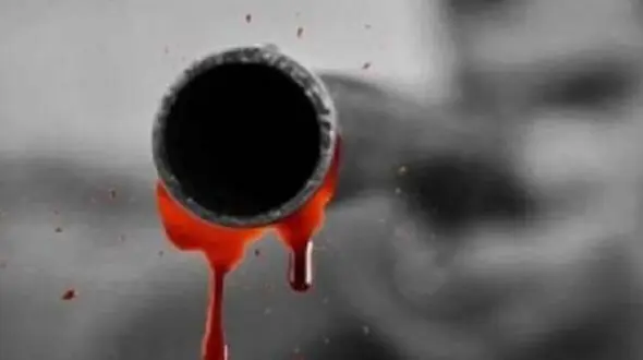 میثم فیل در استانه اعدام / او همدست یاکوزاها بود + جزییات