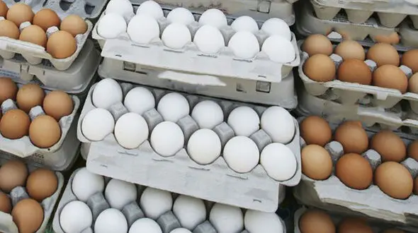 قیمت تخم مرغ سه شنبه 30 دی ماه 99 + جدول
