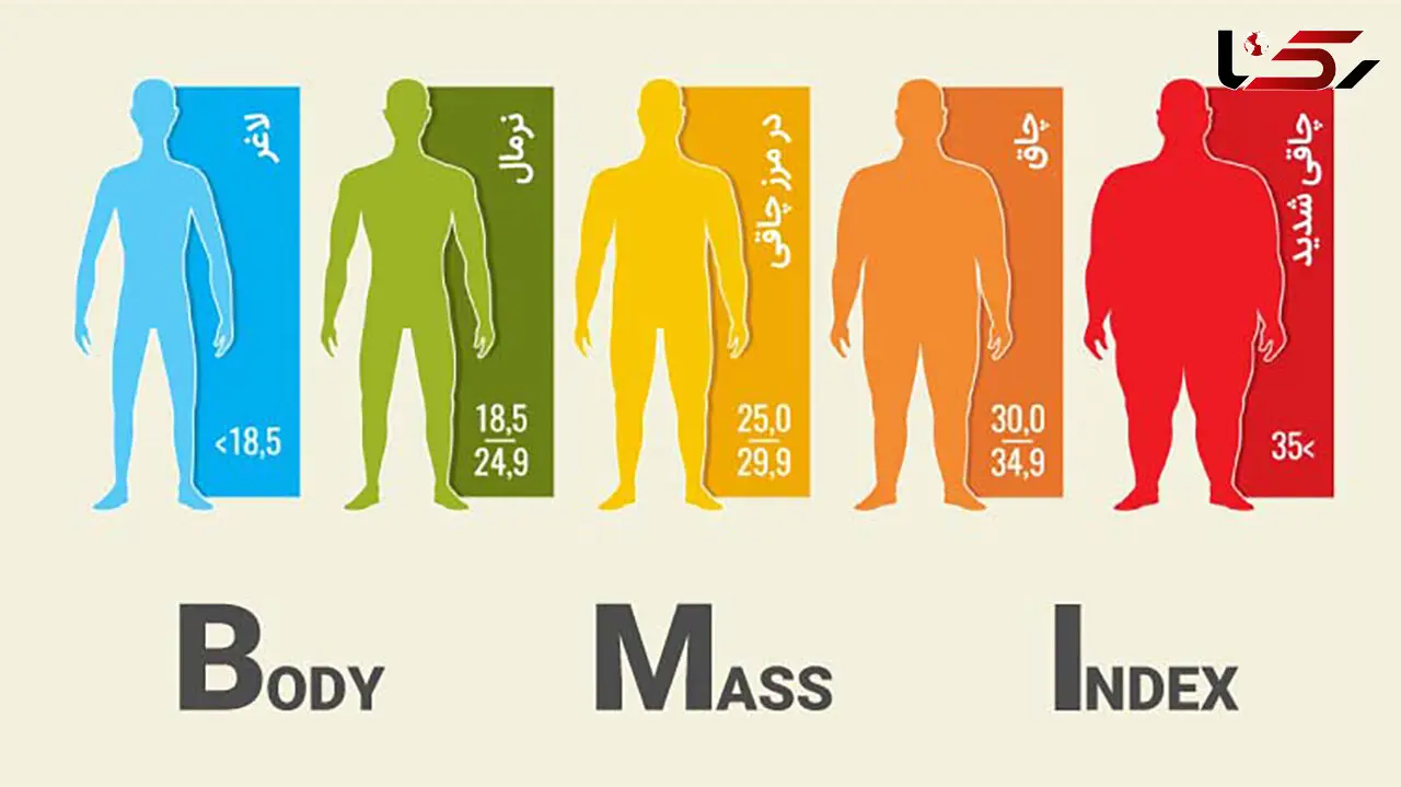 bmi چیست ؟