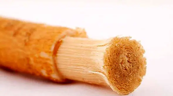 سلامت دندان با چوب مسواک