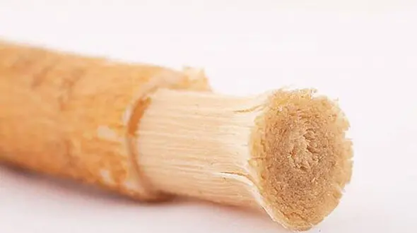 سلامت دندان با چوب مسواک