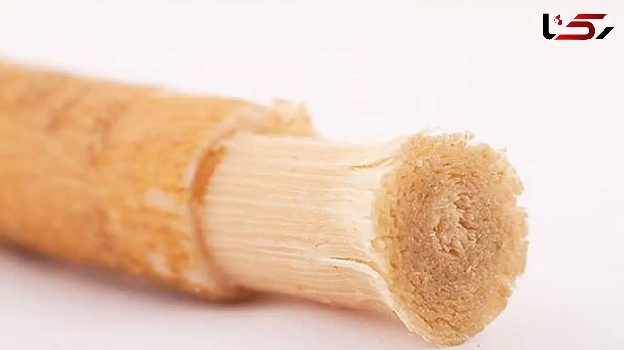 سلامت دندان با چوب مسواک