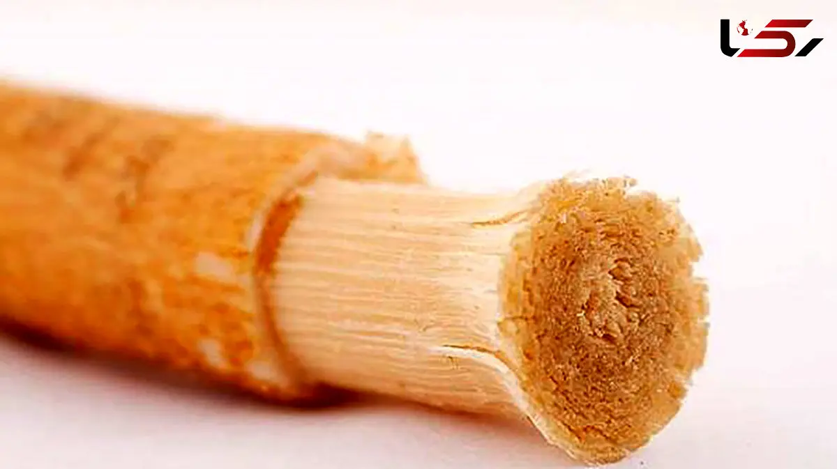 سلامت دندان با چوب مسواک