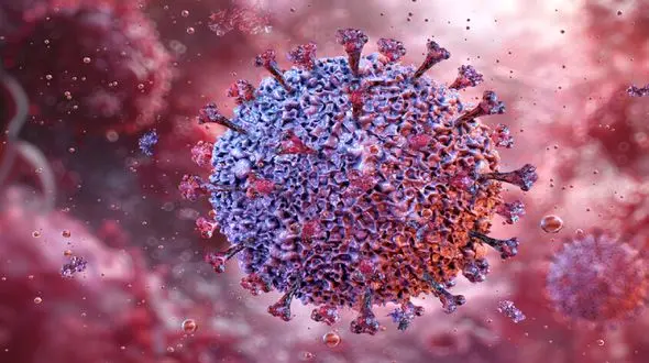 شیوع عفونت‌ نوروویروسی در جنوب چین