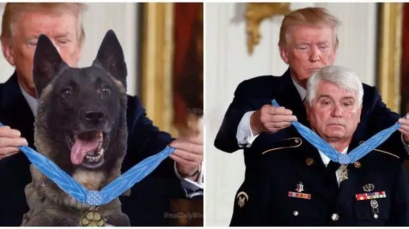 جدیدترین گاف ترامپ چه بود؟