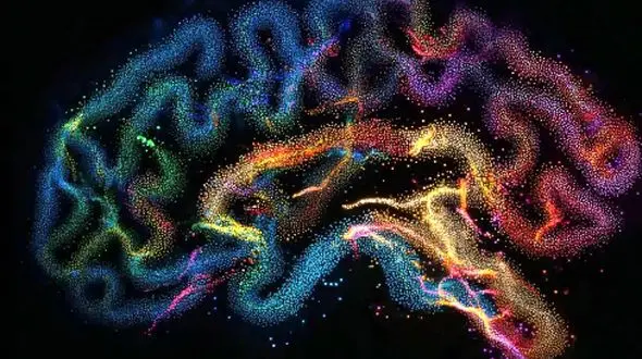 راز بازسازی مسیرهای آشنا توسط مغز