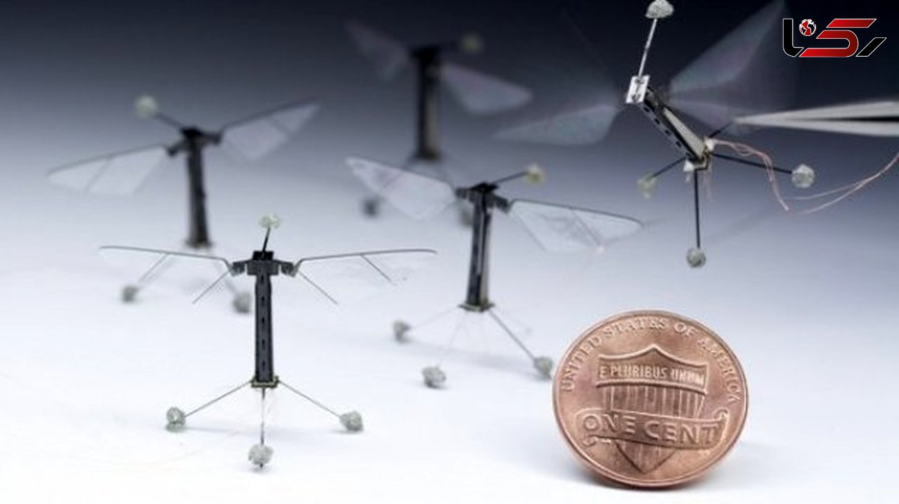 این ربات ها با تقلید از مغز حشرات کار می کنند