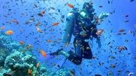 دلیل از بین رفتن مرجان های جنوب چیست؟