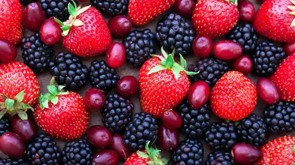 میوه ارزان قیمت را از کجا بخریم ؟