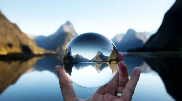 یک گزینه هوشمندانه برای گیاه خواران/چگونه ذهن فعال تری داشته باشیم؟