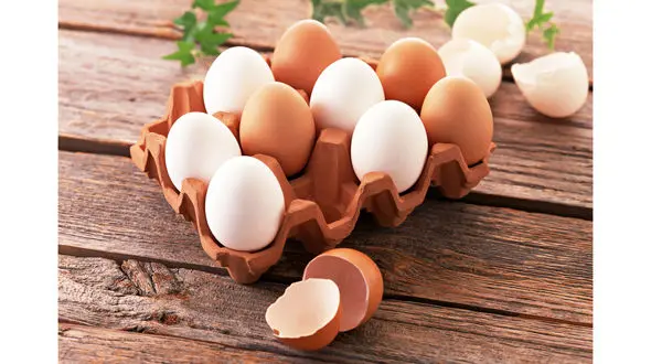 اگر کم خونی دارید بخوانید/معرفی مواد غذایی سرشار از آهن