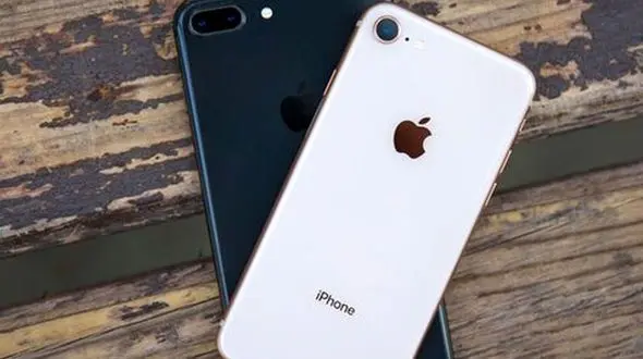 ببینید / ترفند باورنکردنی یک زن برای سرقت آیفون ۱۴؛ دندان‌ها...