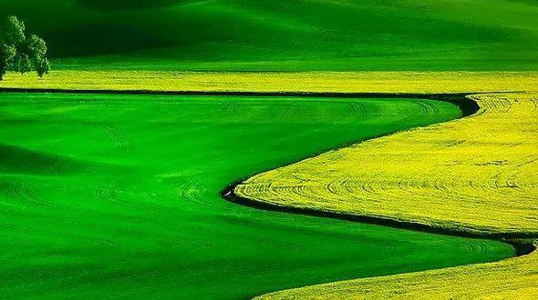 از هارمونی رنگ ها در ترکمن صحرا تا منطقه بندر تنگ بلوچستان