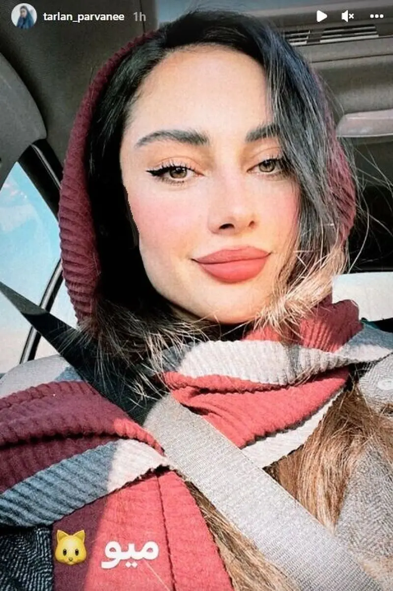 ترلان