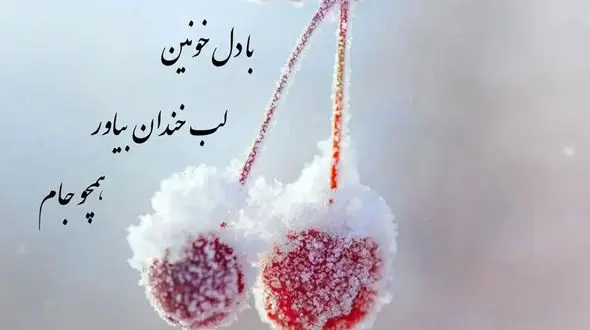 فال حافظ امروز / 10 بهمن ماه با تفسیر دقیق + فیلم