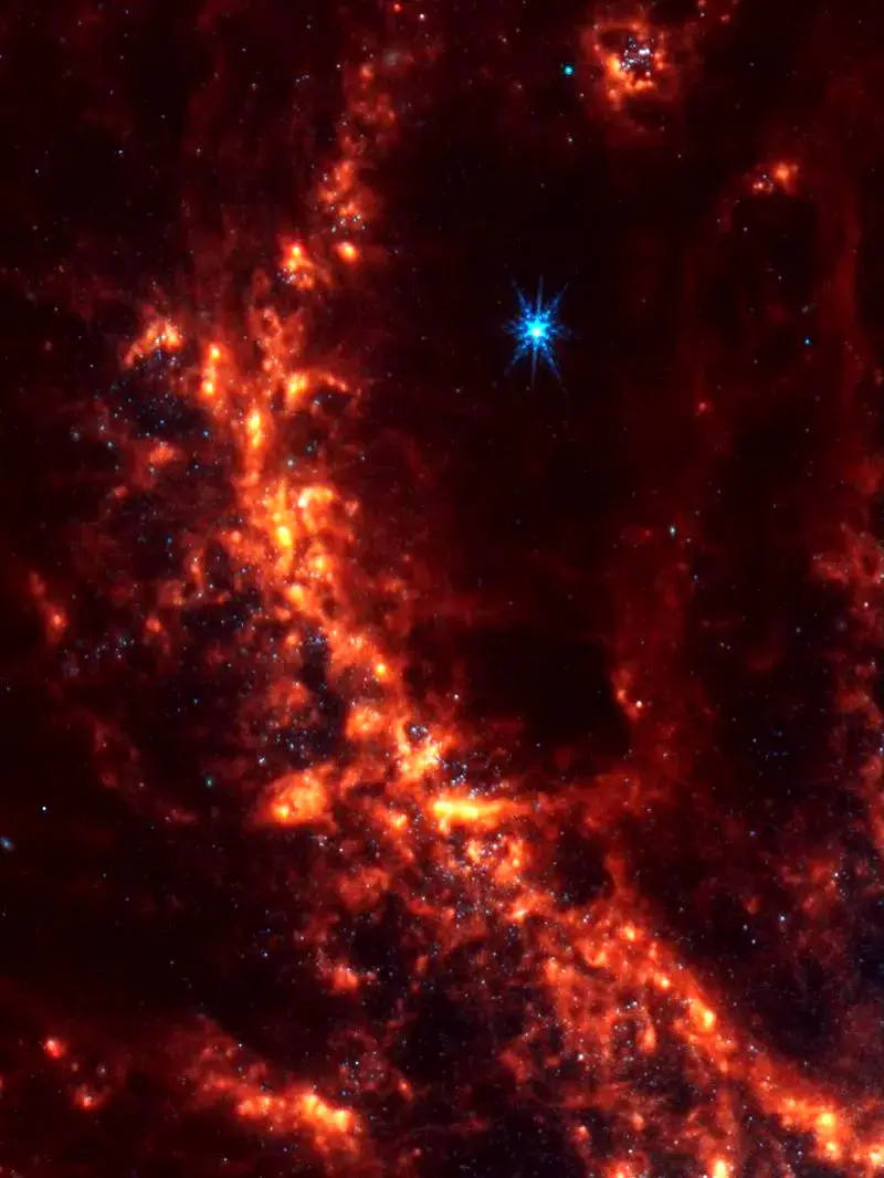 photo_2025-11-15_19-11-42