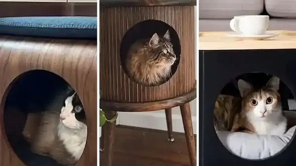 باکس چوبی مخصوص حیوانات | تجربه‌ ای بهتر برای نگهداری پت