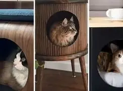 باکس چوبی مخصوص حیوانات | تجربه‌ ای بهتر برای نگهداری پت