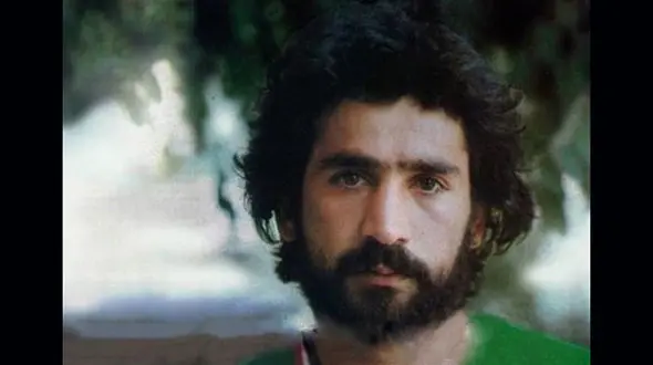 ایرج دانایی‌فرد در خانه‌ ابدی آرام گرفت 