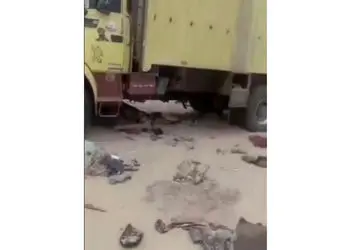 فیلم مخصوص بزرگسالان / صحنه مرگ 49 زن و مرد و کودک بخاطر تشنگی در صحرای بزرگ  / کامیون خراب شد و همه مردند 