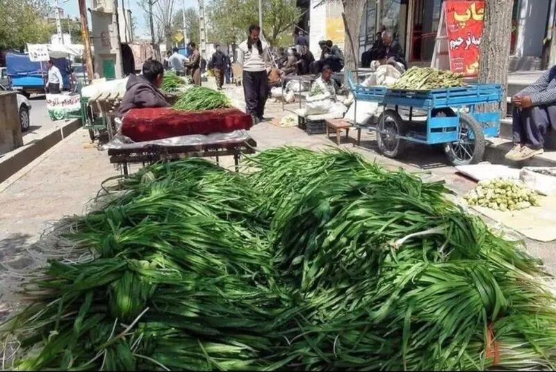 نوش دارویی برای مرگ (3)
