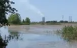 دود سیاه بر فراز پناهگاه حیات وحش میانکاله / سوختن روزانه ۸ هزار تن مازوت در نیروگاه نکا + فیلم