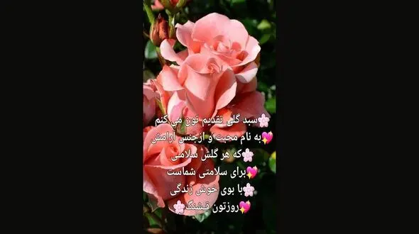 فال ابجد امروز / 12 تیر ماه + فیلم 