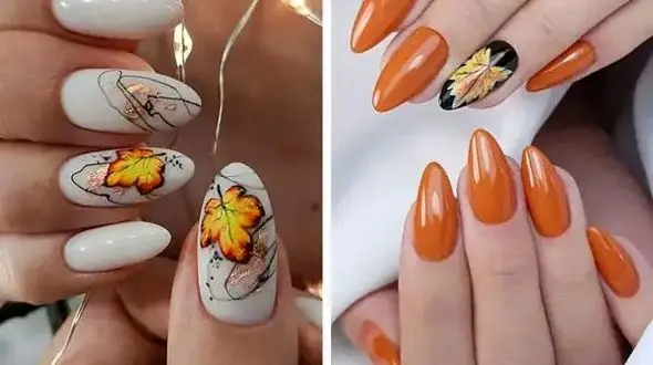 طرح ناخن پاییزی شیک؛ سبک‌ های منحصر‌ به‌ فرد و الهام‌ بخش