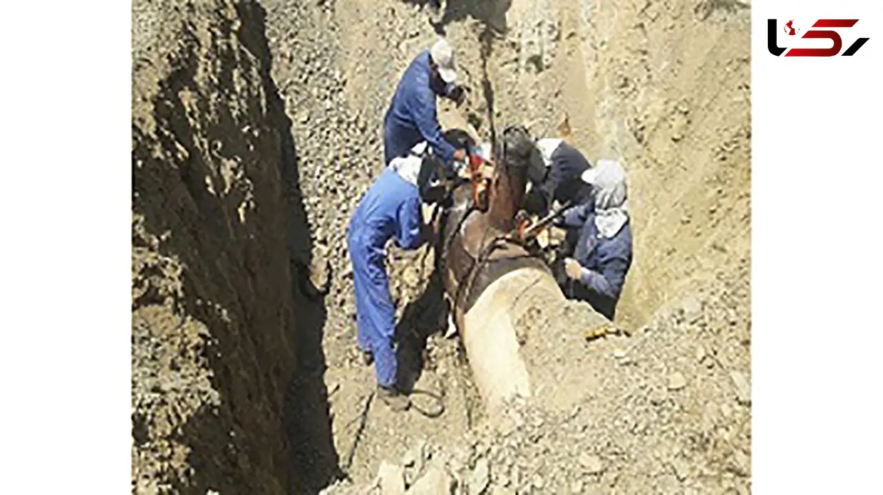 دستگیری دزدان نفت در اصفهان +عکس