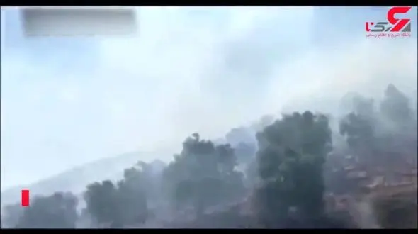 دستگیری عاملان آتش سوزی جنگل های چوار/3 نفر راهی زندان شدند + فیلم