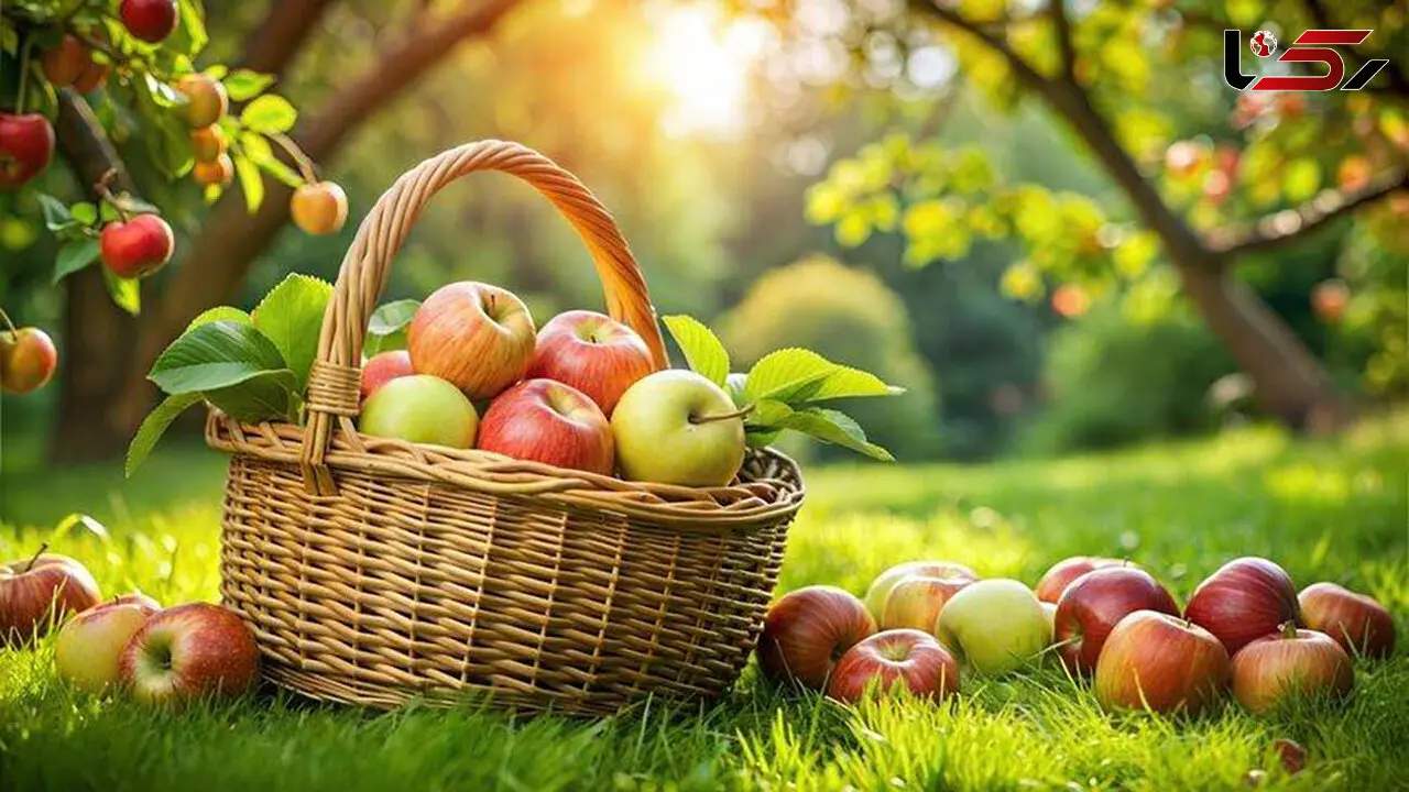 روز جهانی سیب؛ میوه‌ خوشرنگ با فواید فراوان برای سلامتی