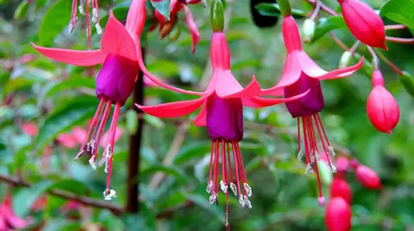 فال ابجد امروز / 24 مهر ماه + فیلم 
