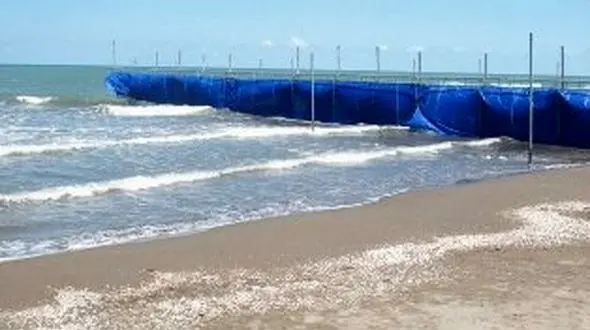 توجه جدی به برنامه های فرهنگی و نشاط آور در طرح های سالم سازی سواحل برای سال جدید