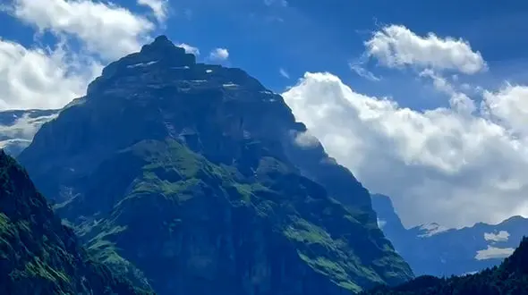 رویاهایت را زندگی کن