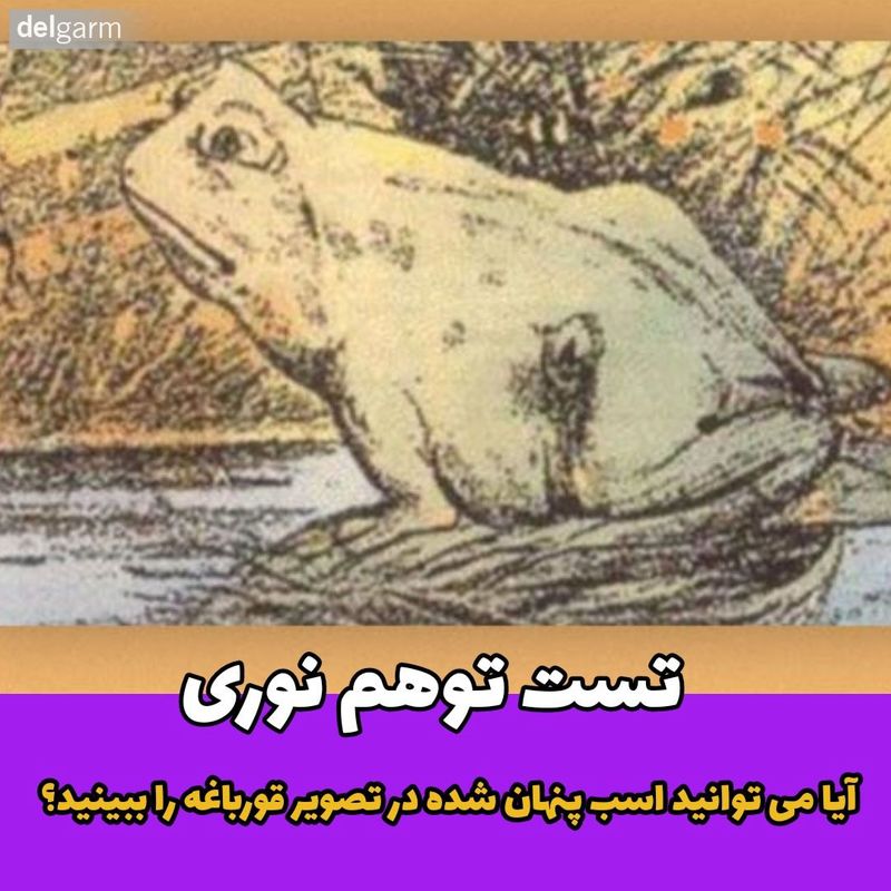 آیا می توانید اسب پنهان شده در تصویر قورباغه را ببینید؟