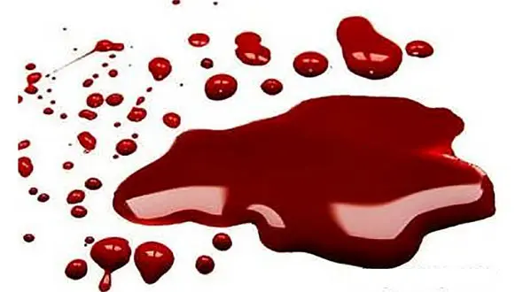 قتل وحشیانه یک زن در محل کارش / انگیزه قاتل چه بود؟