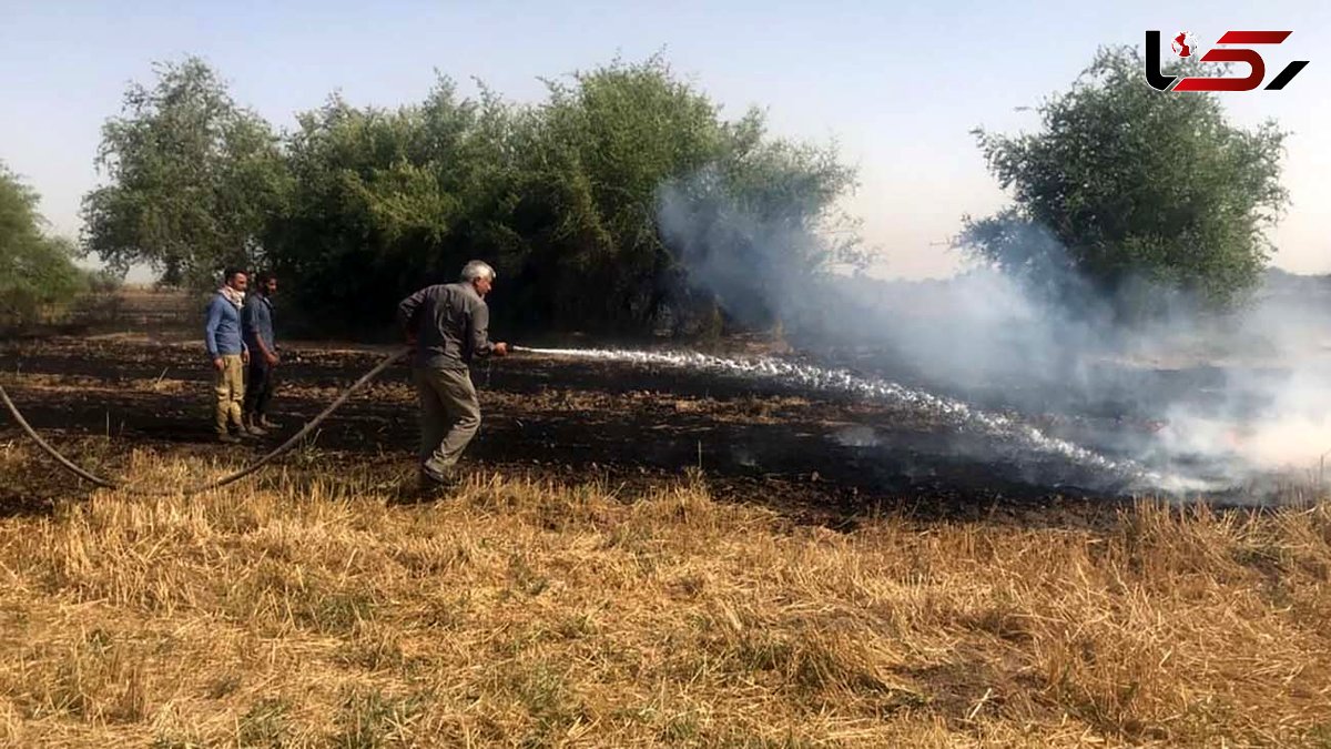 آتش سوزی در نزدیکی باغ پرندگان اصفهان