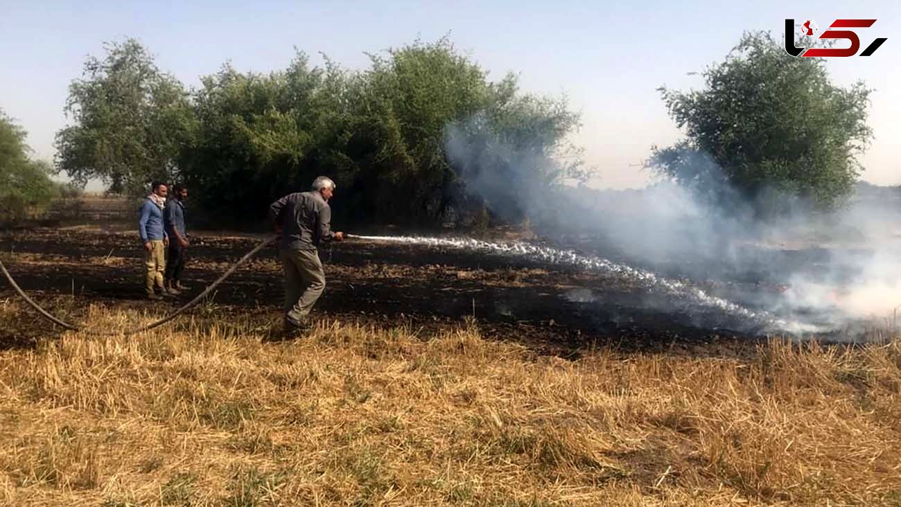 آتش سوزی در نزدیکی باغ پرندگان اصفهان