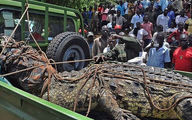'Immortal' killer croc known as Osama killed 80 people from just one African village
