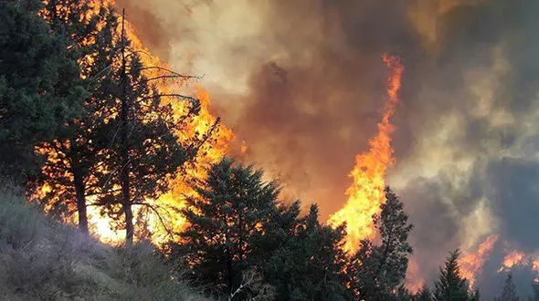 اعزام بالگرد دوم برای اطفاء حریق / آتش سوزی ها در جنگل های مریوان ادامه دارد+ فیلم