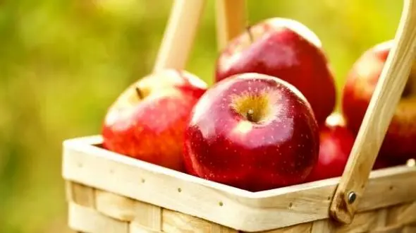 جایگزین قهوه کشف شد