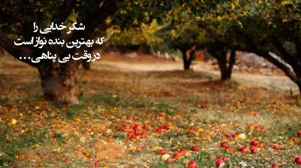 فال ابجد امروز / 29 شهریور + فیلم