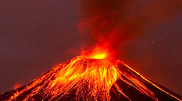 اقدام وحشتناک این گردشگر چه بود؟+ فیلم