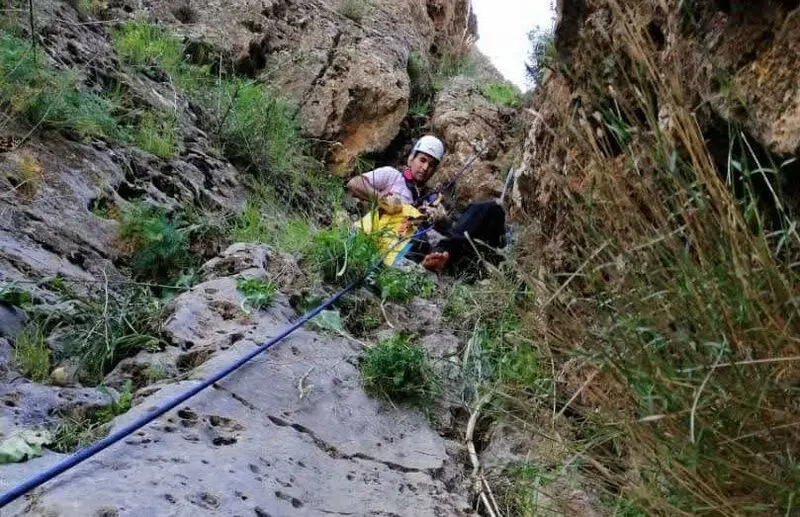 نجات طبیعت گرد