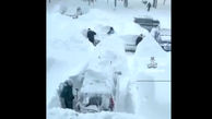 ببینید / دفن شدن ماشین‌ ها زیر خروارها برف + فیلم