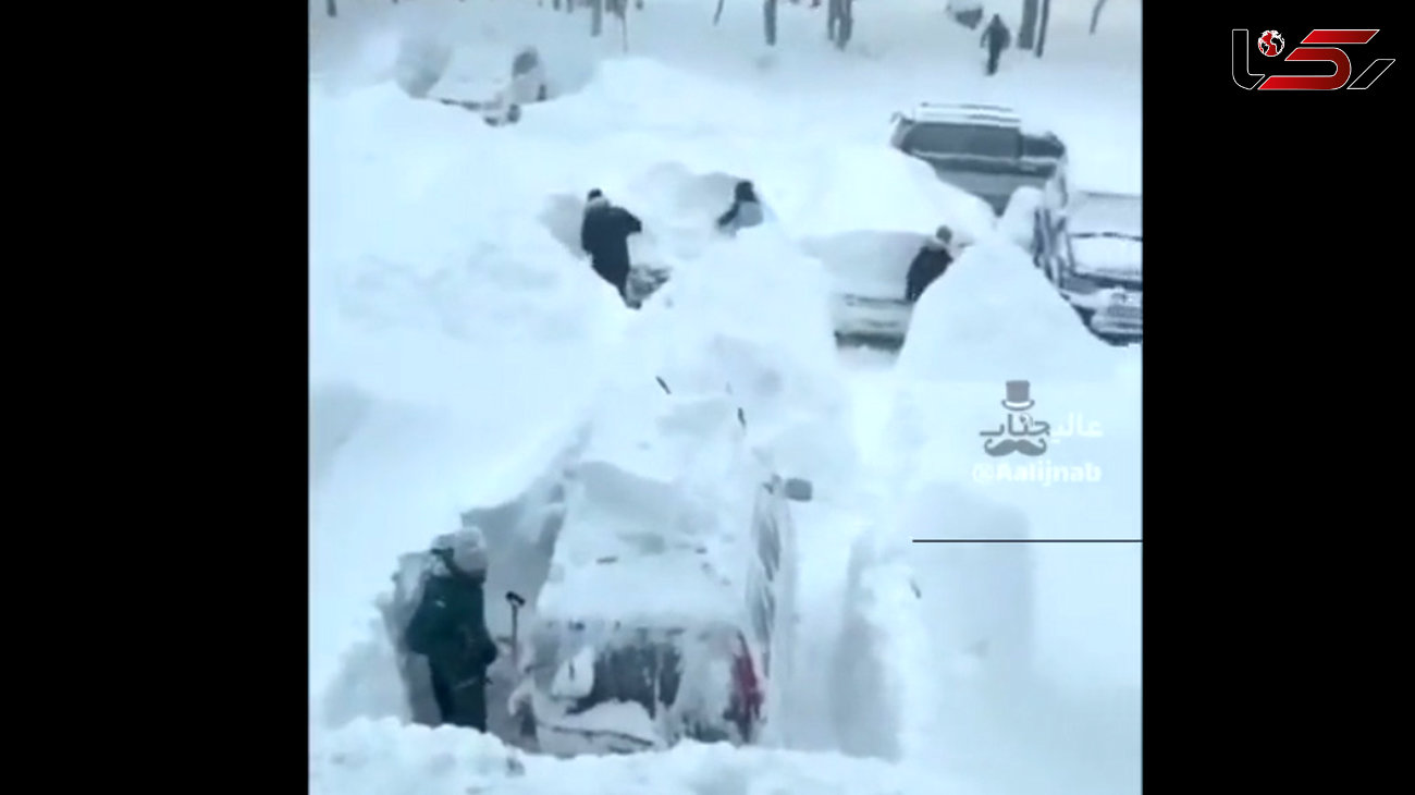 ببینید / دفن شدن ماشین‌ ها زیر خروارها برف + فیلم