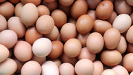 وزارت جهاد کشاورزی: برنامه ای برای افزایش قیمت تخم مرغ نداریم