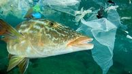 زباله‌های کرونایی با طبیعت چه کردند ؟ / با ماسک ماهی ها را خفه نکنیم