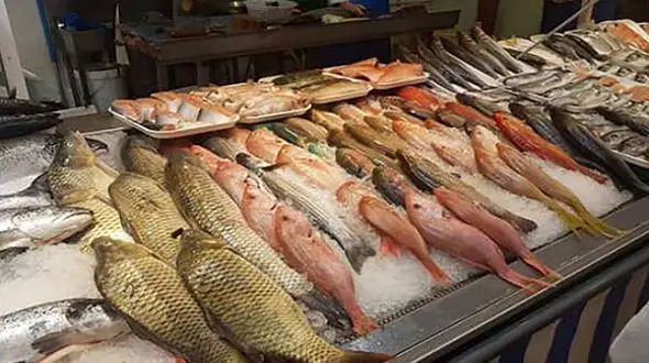 قیمت انواع آبزیان در میادین و بازارهای میوه و تره بار اعلام شد